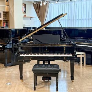 Đàn piano Yamaha G2E