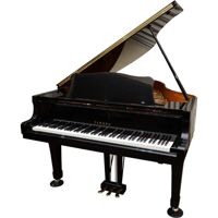Đàn piano Yamaha G5