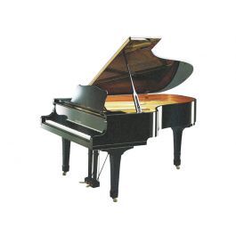 Đàn piano Yamaha G5E