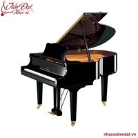 Đàn Piano Yamaha GC1 PE