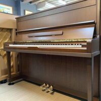 Đàn Piano Yamaha HQ100WN