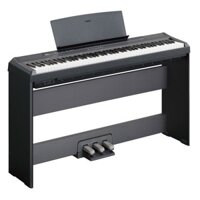 Đàn Piano Yamaha P105