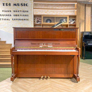 Đàn Piano Yamaha SX100RWnC