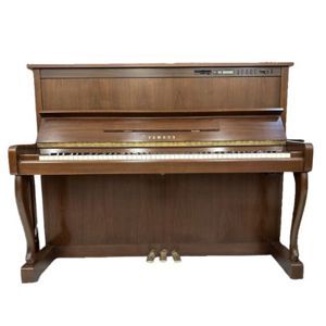 Đàn Piano Yamaha SX100RWnC