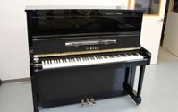 Đàn Piano Yamaha SX101RBL