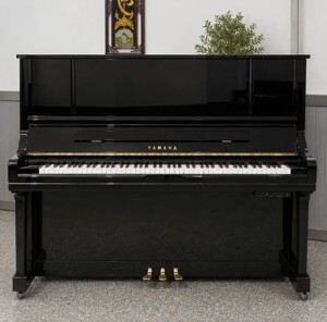 Đàn Piano Yamaha SX101RBL