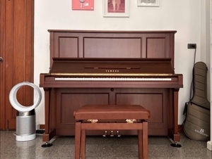 Đàn piano Yamaha U30Wn