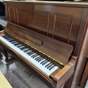 Đàn piano Yamaha W3AWN