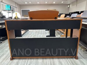 Đàn Piano Yamaha YDP-151C