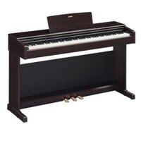 Đàn Piano Yamaha YDP144