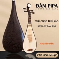 Đàn Tỳ Bà Cao Cấp - Pipa Trung Quốc Gỗ Hương - Gỗ Mun Hoa Đuôi Công Nhập Khẩu {AP-MusicBN}
