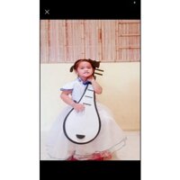 đàn tỳ bà chụp ảnh