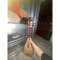 Đàn tỳ bà gỗ hương (Hàng 99%-97% 🥺)