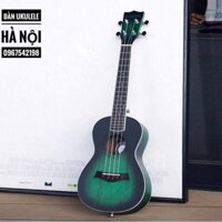 đàn ukulele cao cấp