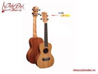 Đàn Ukulele Chard U-24E