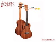 Đàn Ukulele Chard U-24F