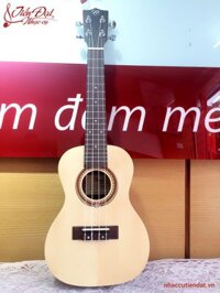 Đàn Ukulele Chard U-24S