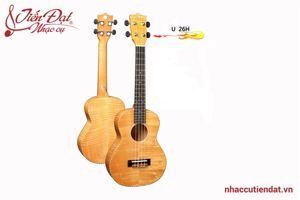 Đàn Ukulele Chard U-26H