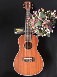 Đàn ukulele Concert VT-800