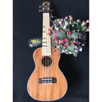 Đàn ukulele MHD900