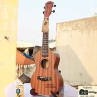 Đàn Ukulele MUSIC MG01 size concert/tenor FULL gỗ mahagony chính hãng