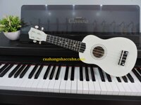 Đàn Ukulele trơn 1 màu