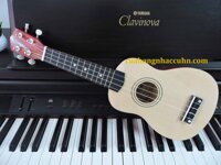 Đàn Ukulele trơn màu gỗ sáng - Giao hàng toàn quốc