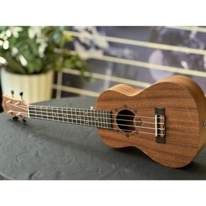 Đàn ukulele Ukaku C10F