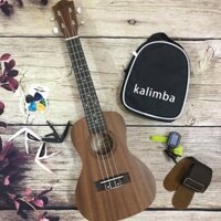 Đàn Ukulele Viền S