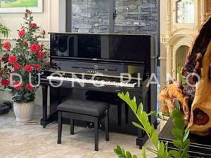 Đàn Upright Piano Yamaha U3 PE - Piano cơ