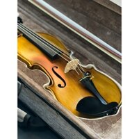 Đàn Violin Amati VF300 vân thật 4/4 - Nhập khẩu chính hãng Italya