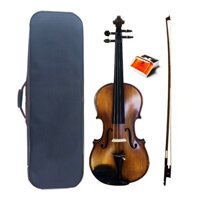 Đàn Violin Amati VF750M Size 4/4