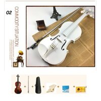 Đàn Violin Cao Cấp USA - Hàng Có Sẵn Emusicmall emm00557