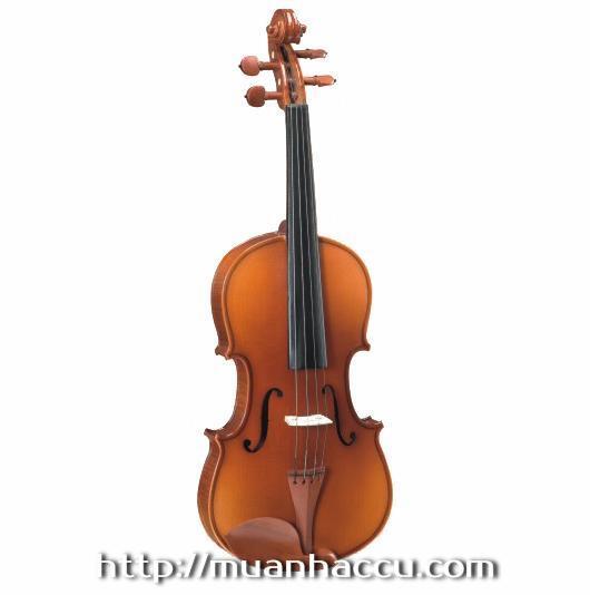 Đàn Violin Carlo Giordan