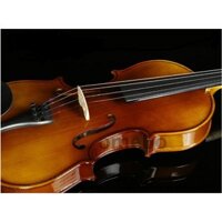 Đàn violin-đàn vĩ cầm Omebo chất lượng tốt