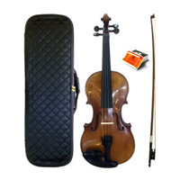 Đàn Violin Scott Cao STV-017CE