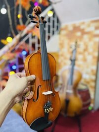 ĐÀN VIOLIN SCOTTCAO STV150