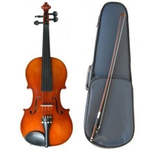 Đàn Violin Suzuki NS20FE 4/4