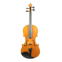 Đàn violin vân vẽ Giovani size 4/4