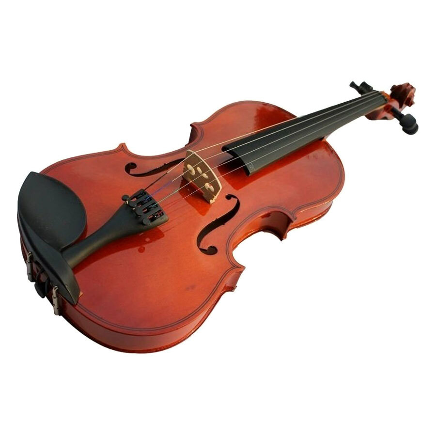 Đàn Violin Vines V10
