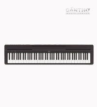 Đàn Yamaha P45