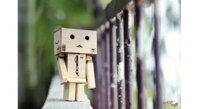 Danbo Gỗ Thông cao cấp loại lớn