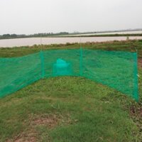 Đăng chặn sông, cống - bắt tôm tép tất cả các loại cá