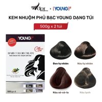 [DÀNH CHO SALON] Kem nhuộm tóc phủ bạc Young giữ màu lâu, không dính da đầu dạng túi 500gx2 túi