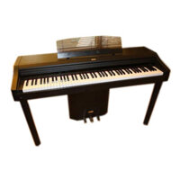 Đánh giá về đàn piano điện KORG & nên mua đàn piano KORG ở đâu?