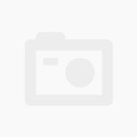 Dao bếp Victorinox Carving Knives (22cm, fibrox handle, wavy edge)