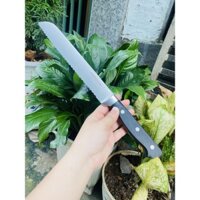 Dao Cắt Bánh Mì Có Răng Cưa dài 31cm Của Mỹ