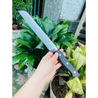 Dao Cắt Bánh Mì, dao cắt bánh Có Răng Cưa dài 31cm, không gỉ Của Đức