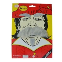 Đạo cụ râu giả Halloween, ria mép giả, đạo cụ biểu diễn hóa trang, cosplay râu trắng, râu ông già