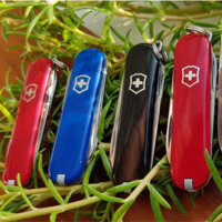 Dao đa năng Victorinox Classic SD phiên bản sắc màu